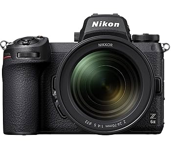 Nikon - Nikon Z6 ボディのみ ミラーレス機　美品　ニコン　オマケ付き Zシリーズ（Nikon） ニコン Nikon Z6 ボディ ミラーレス 一眼